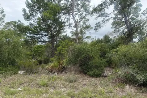 105 Hoover Avenue NE Lake Placid FL 33852