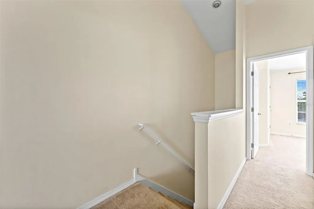 11513 Declaration Drive Tampa FL 33635