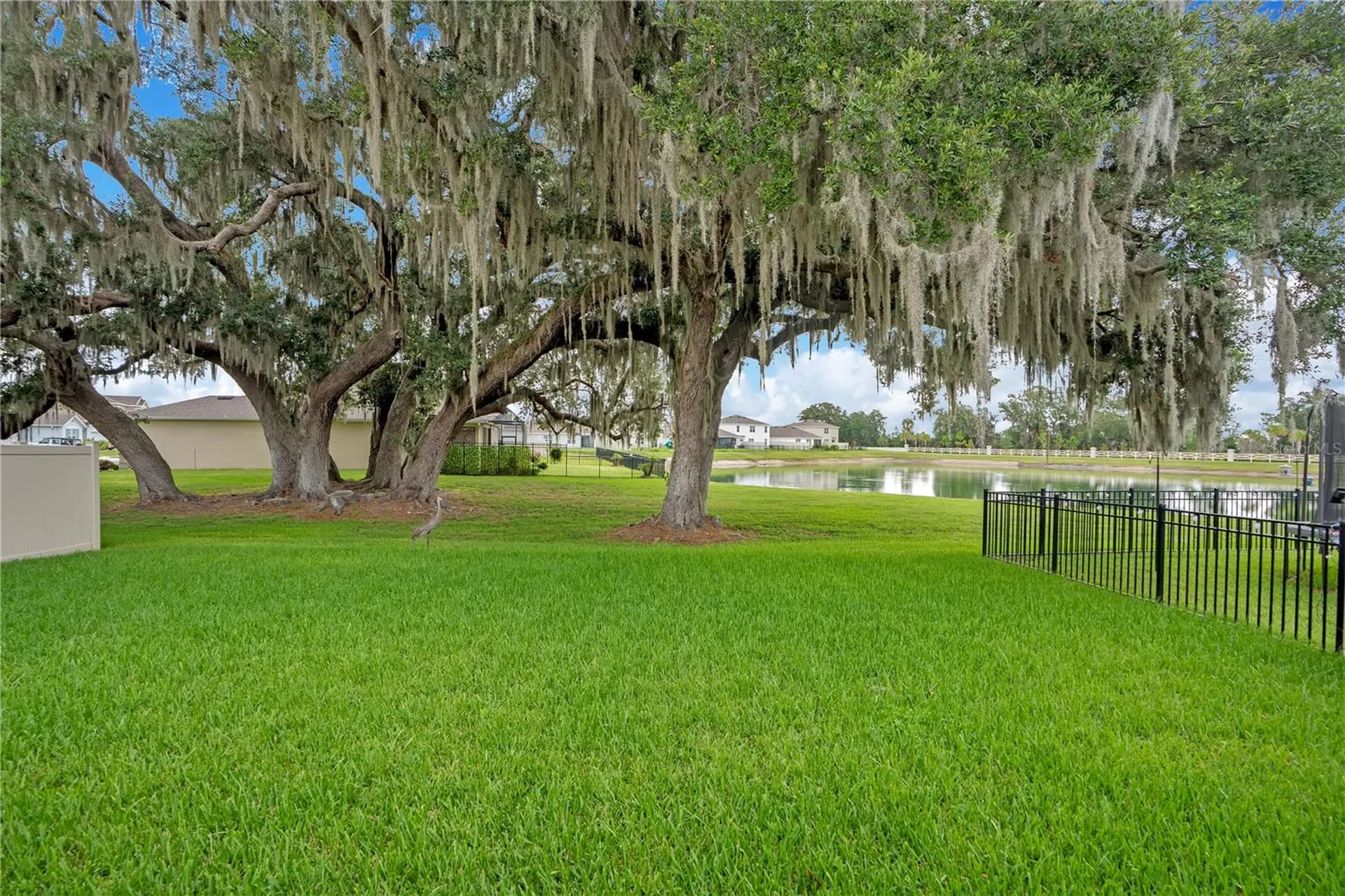 3504 Crescent Peak Way Plant City FL 33565