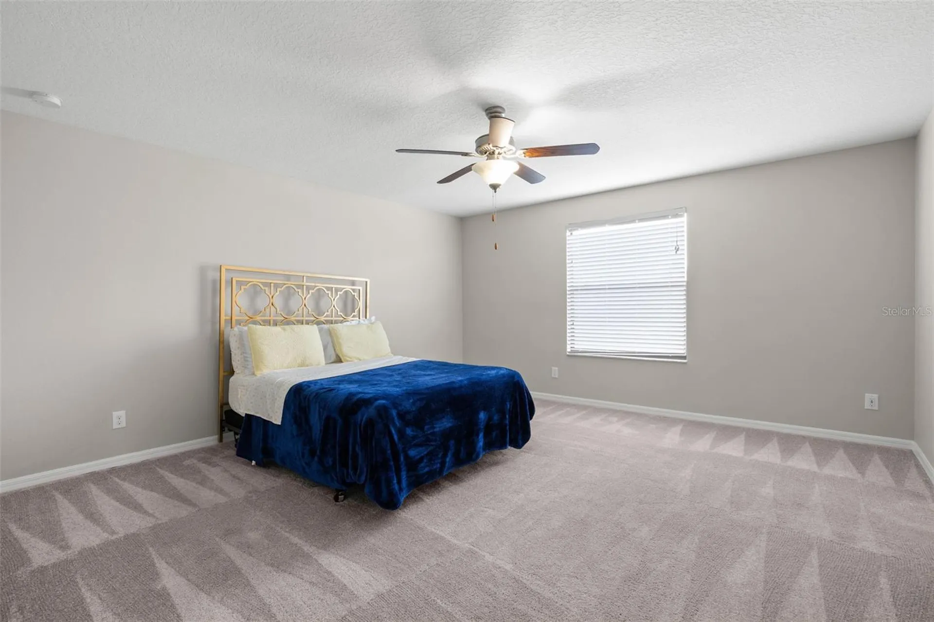 36101 Stable Wilk Avenue Zephyrhills FL 33541
