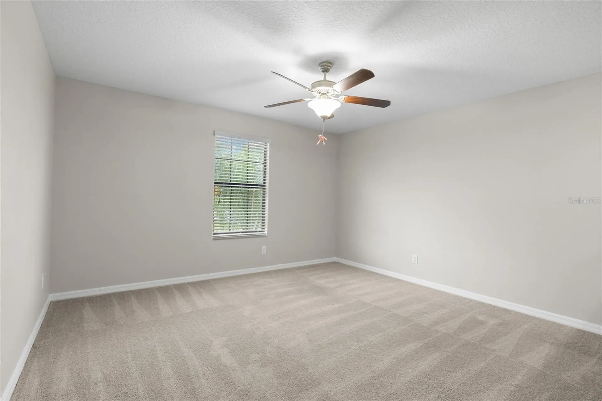 36101 Stable Wilk Avenue Zephyrhills FL 33541