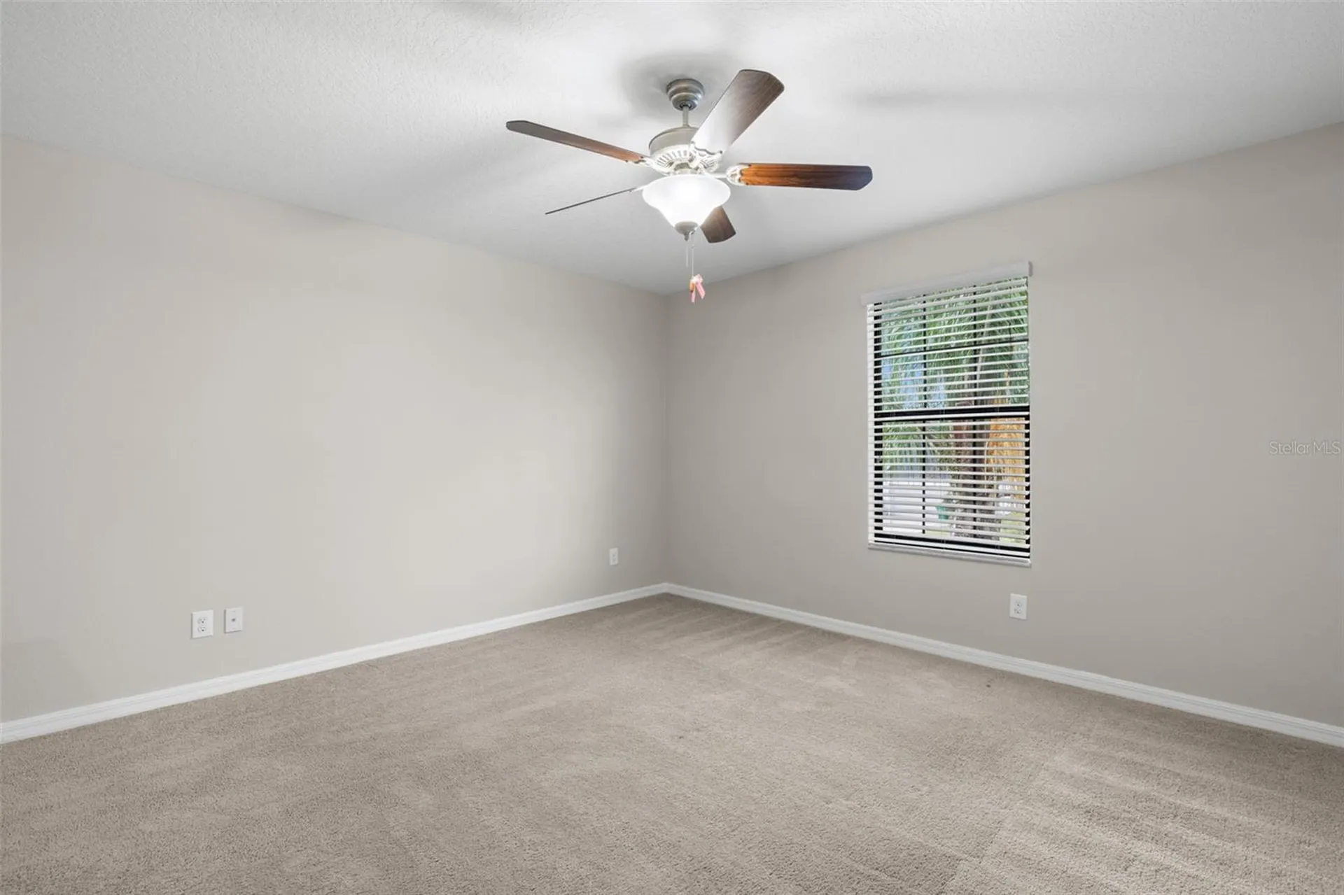 36101 Stable Wilk Avenue Zephyrhills FL 33541