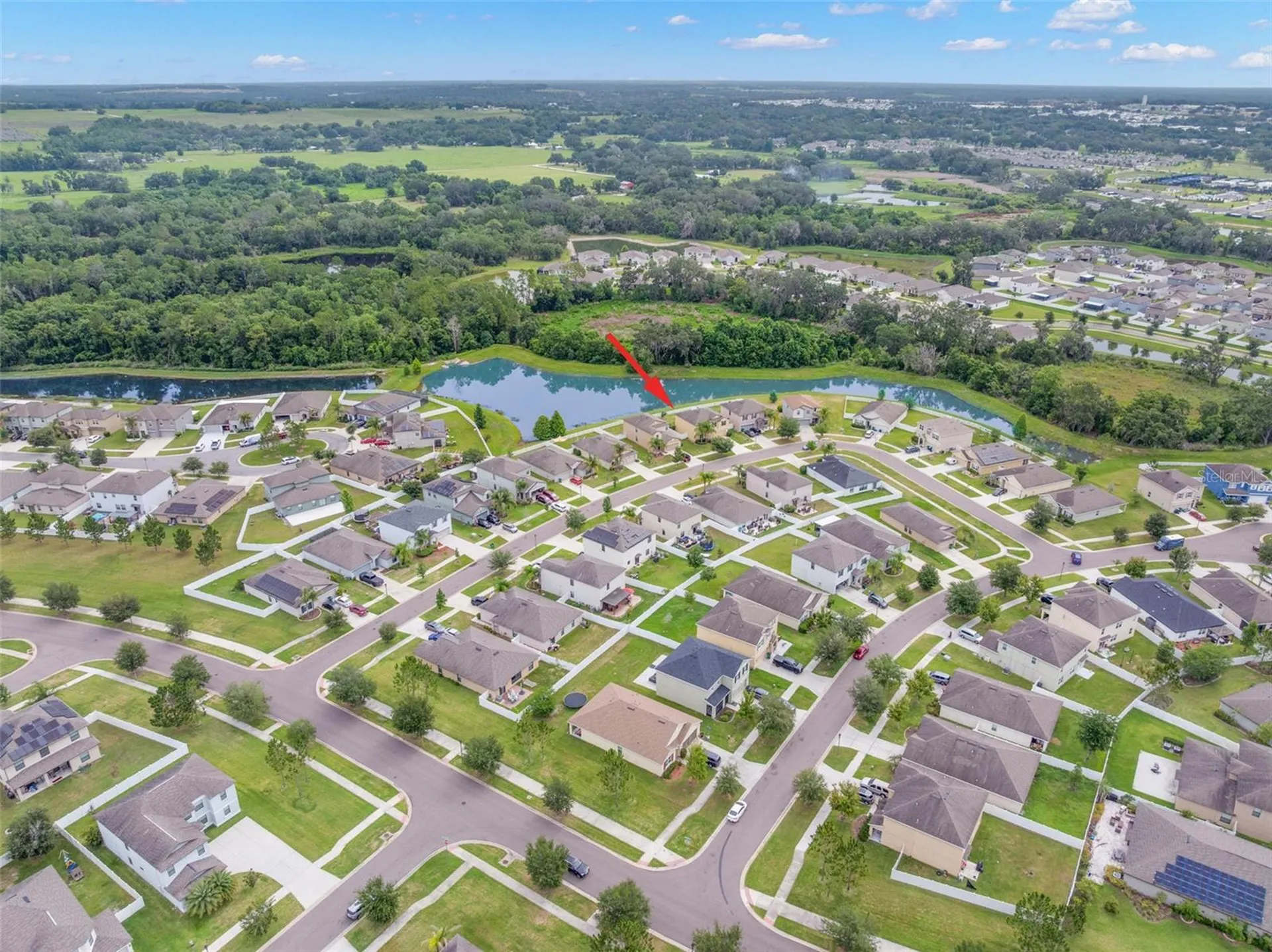 36101 Stable Wilk Avenue Zephyrhills FL 33541