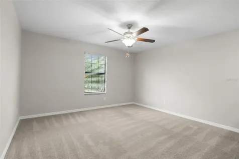 36101 Stable Wilk Avenue Zephyrhills FL 33541
