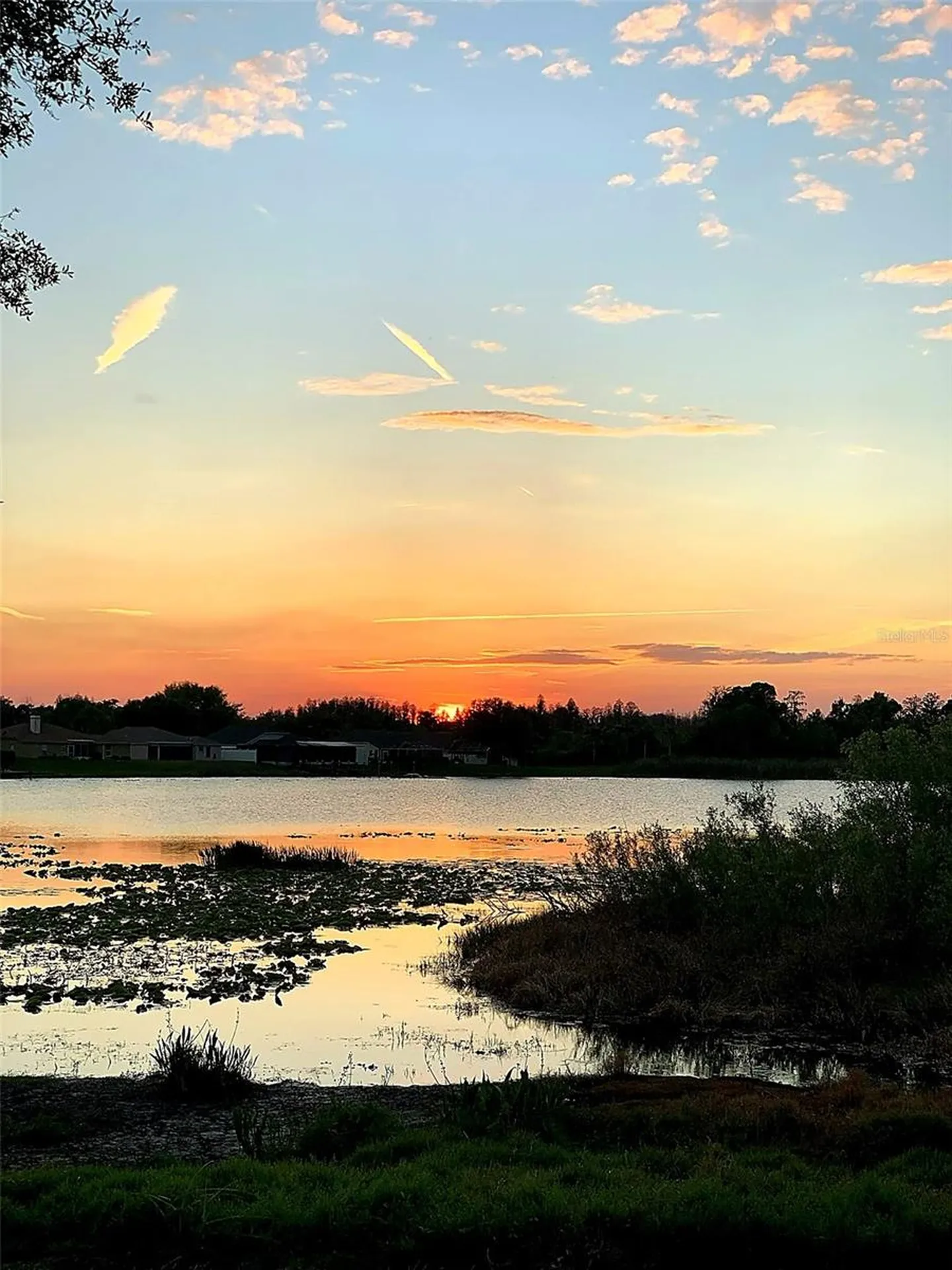 1739 Leichester Court Lutz FL 33549