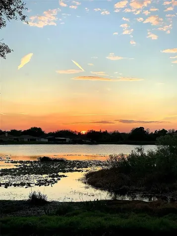 1739 Leichester Court Lutz FL 33549