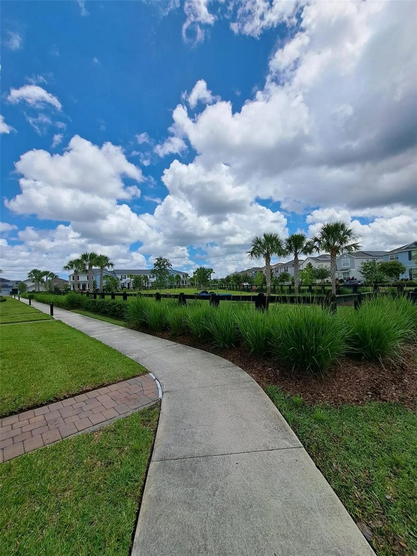 11902 Architecture Alley Orlando FL 32832
