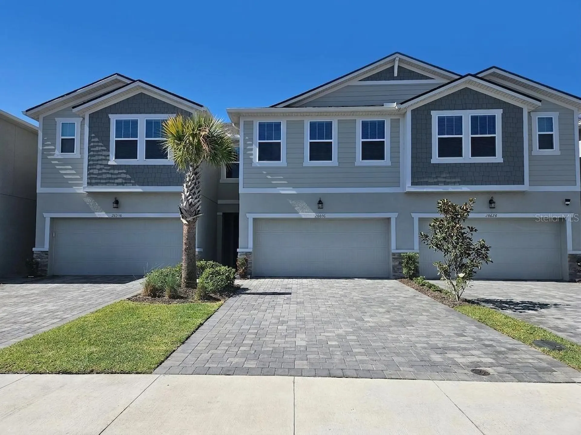 26030 Fantasy Sky Lane Lutz FL 33559