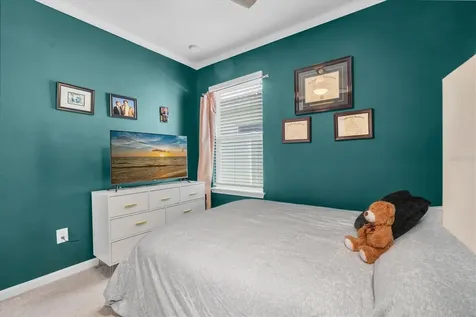 8867 Prairie Creek Drive Trinity FL 34655