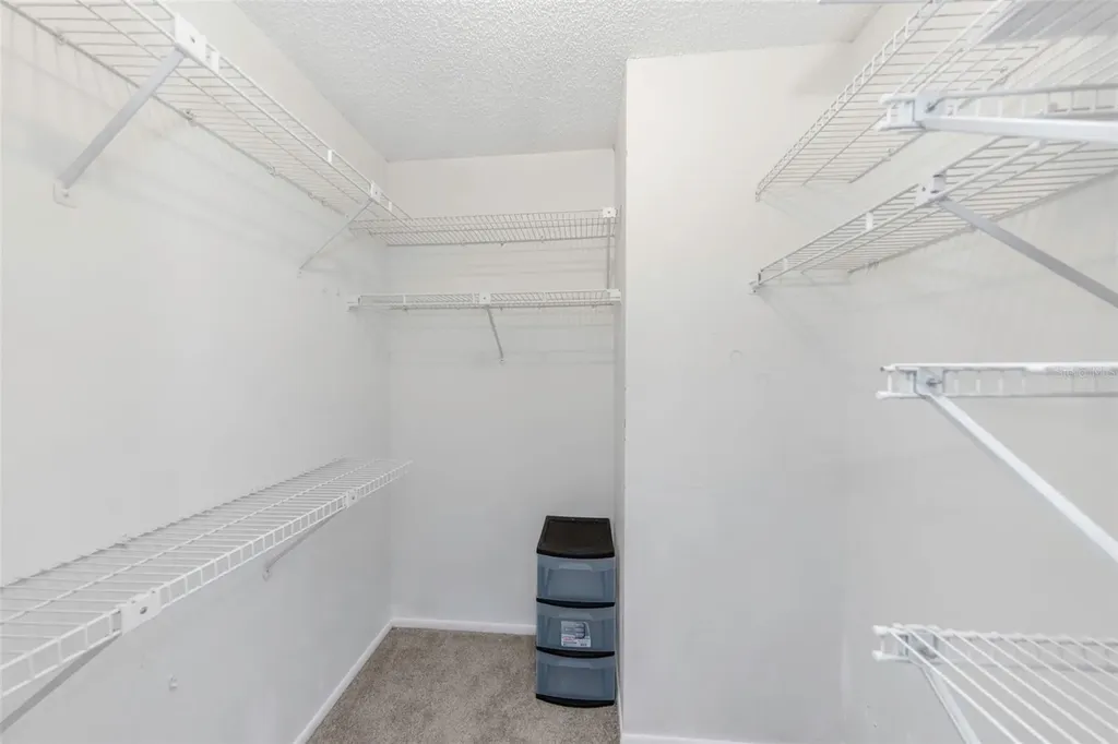 3581 Magnolia Ridge Circle Palm Harbor FL 34684