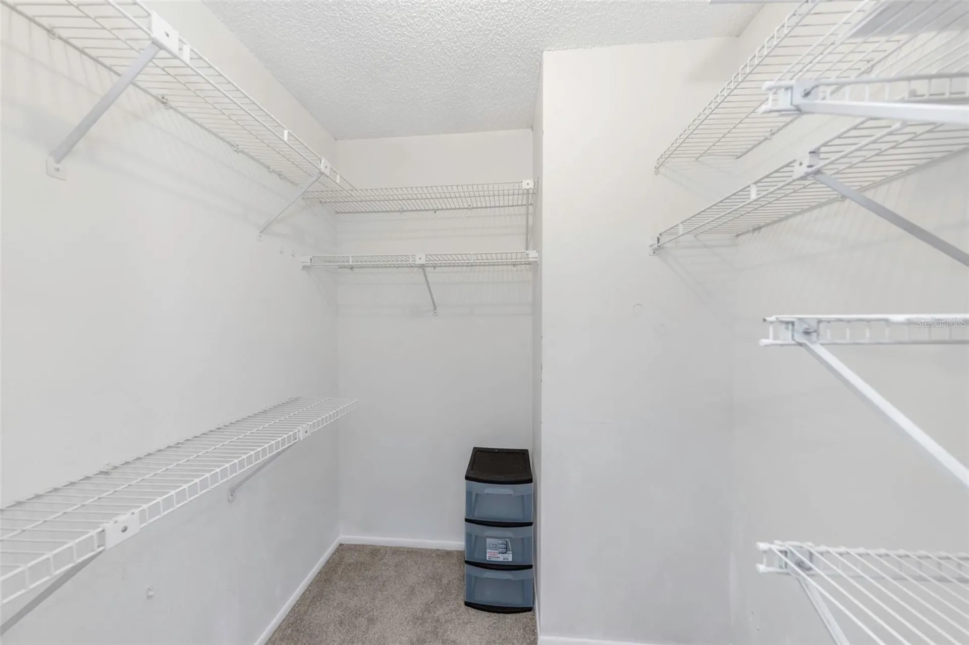 3581 Magnolia Ridge Circle Palm Harbor FL 34684