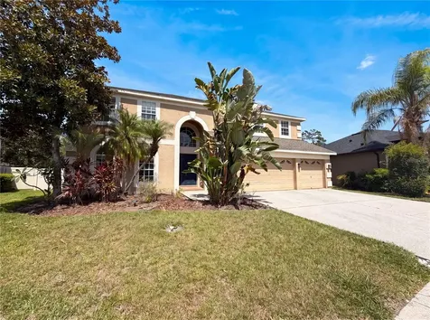 3518 Braemar Street Land O Lakes FL 34638