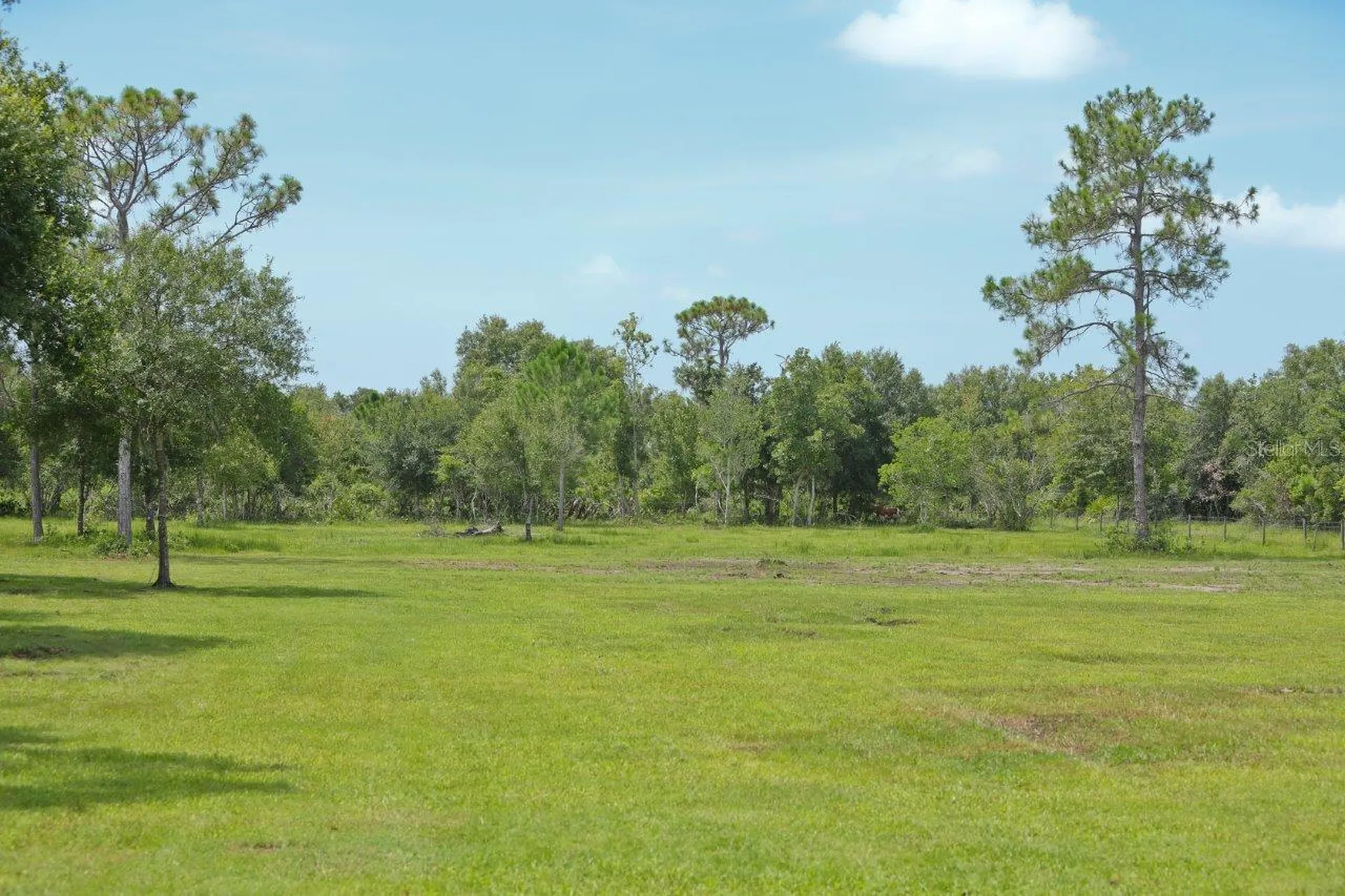 34452 Singletary Road Myakka City FL 34251