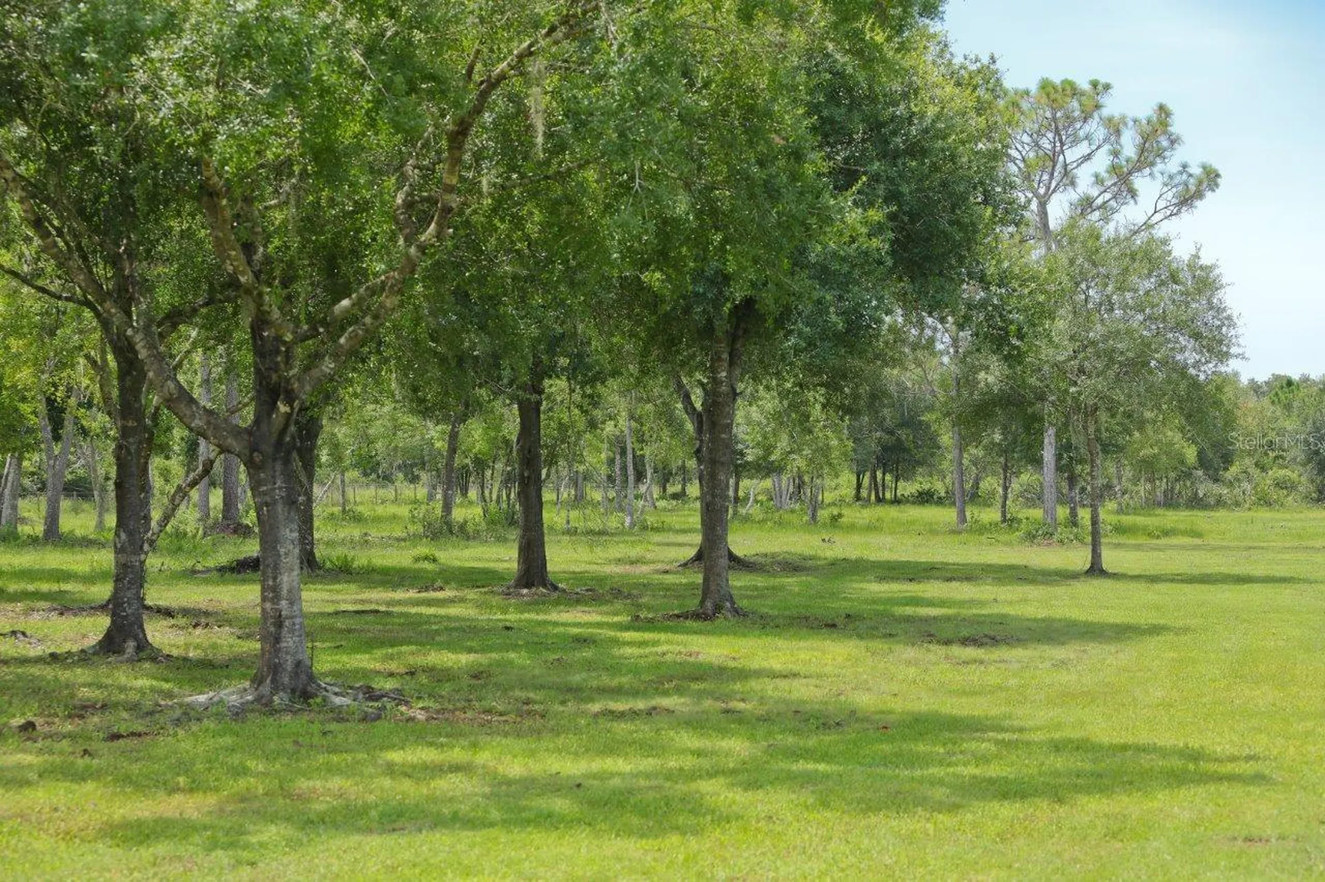 34452 Singletary Road Myakka City FL 34251