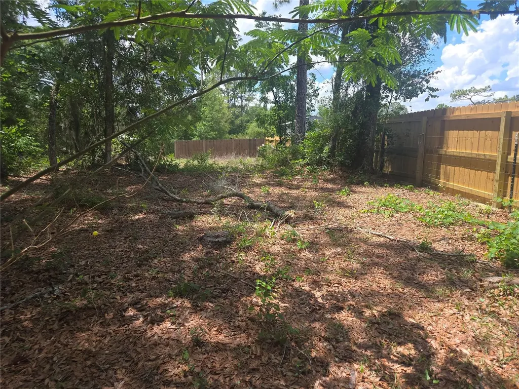 6090 NE 87 Terrace Bronson FL 32621