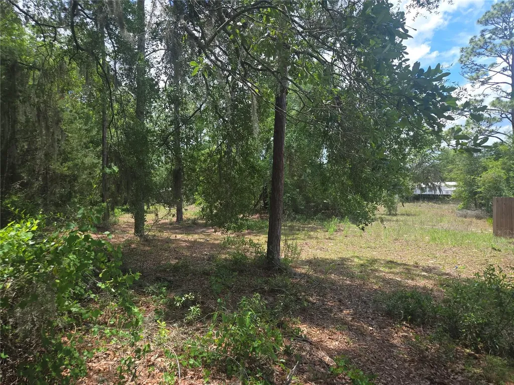 6090 NE 87 Terrace Bronson FL 32621