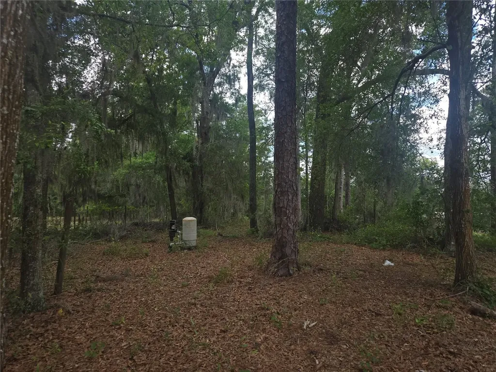 6090 NE 87 Terrace Bronson FL 32621