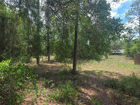 6090 NE 87 Terrace Bronson FL 32621