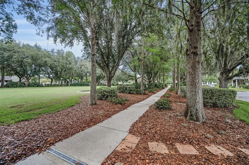 10403 Micanopy Street New Port Richey FL 34655