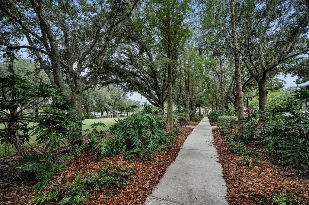 10403 Micanopy Street New Port Richey FL 34655