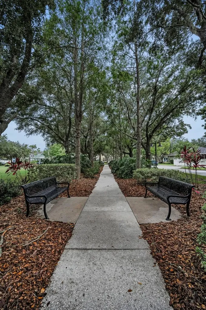10403 Micanopy Street New Port Richey FL 34655
