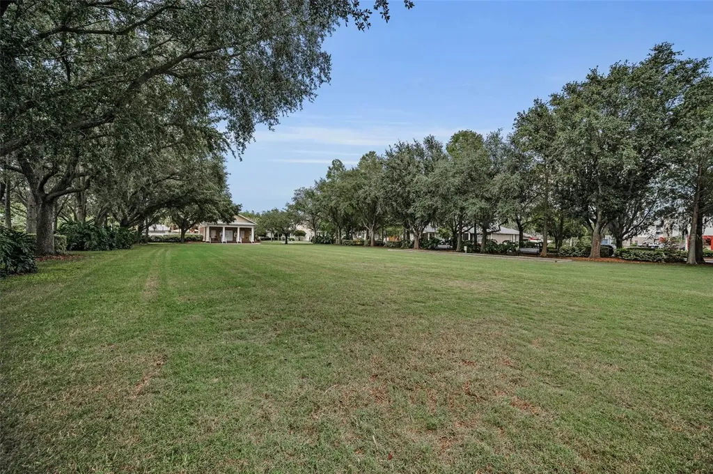 10403 Micanopy Street New Port Richey FL 34655