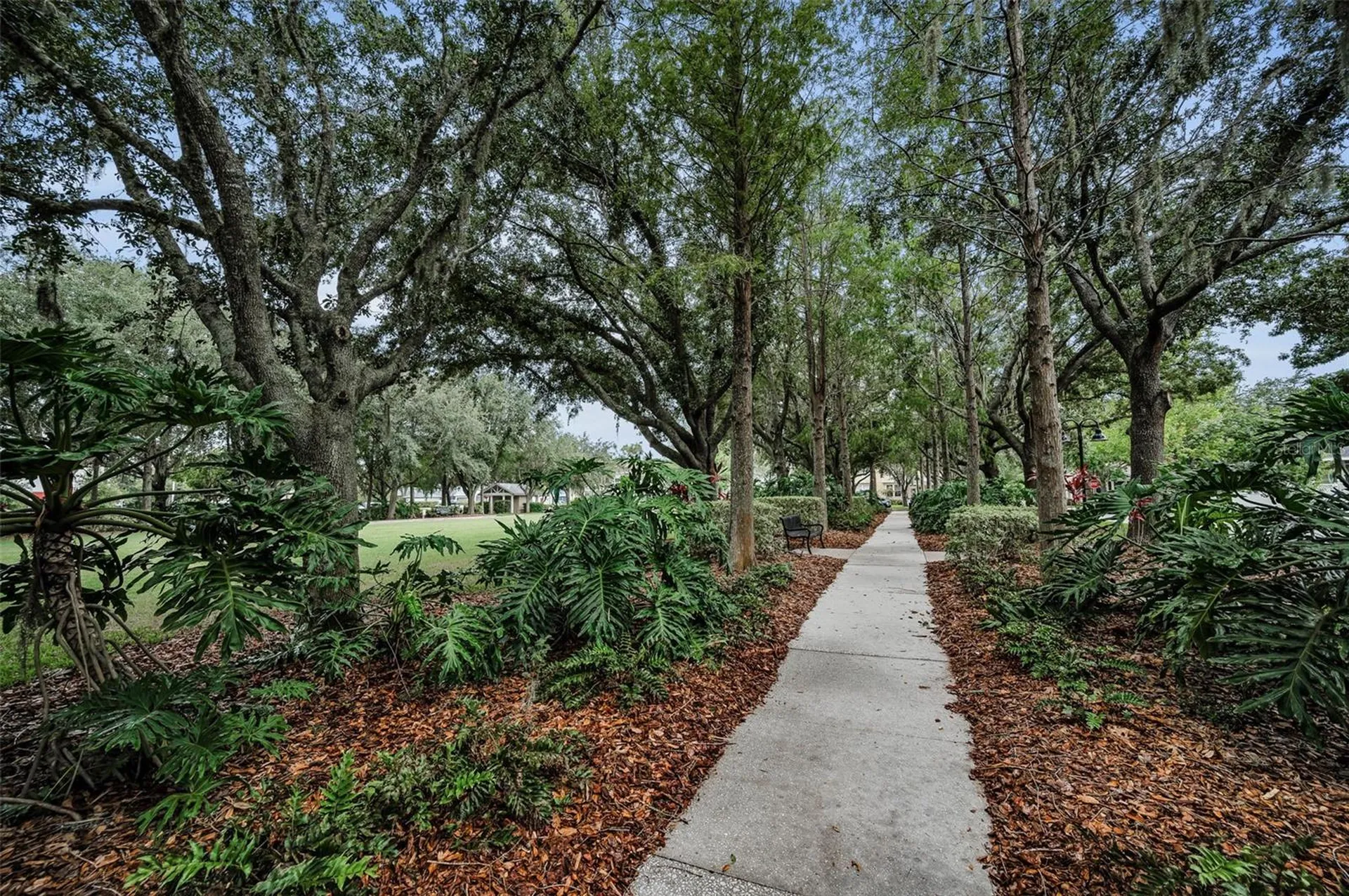 10403 Micanopy Street New Port Richey FL 34655