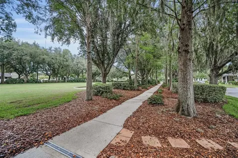10403 Micanopy Street New Port Richey FL 34655