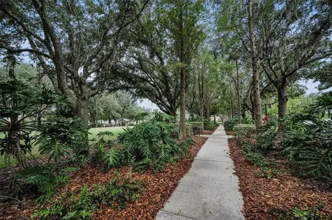 10403 Micanopy Street New Port Richey FL 34655