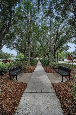 10403 Micanopy Street New Port Richey FL 34655