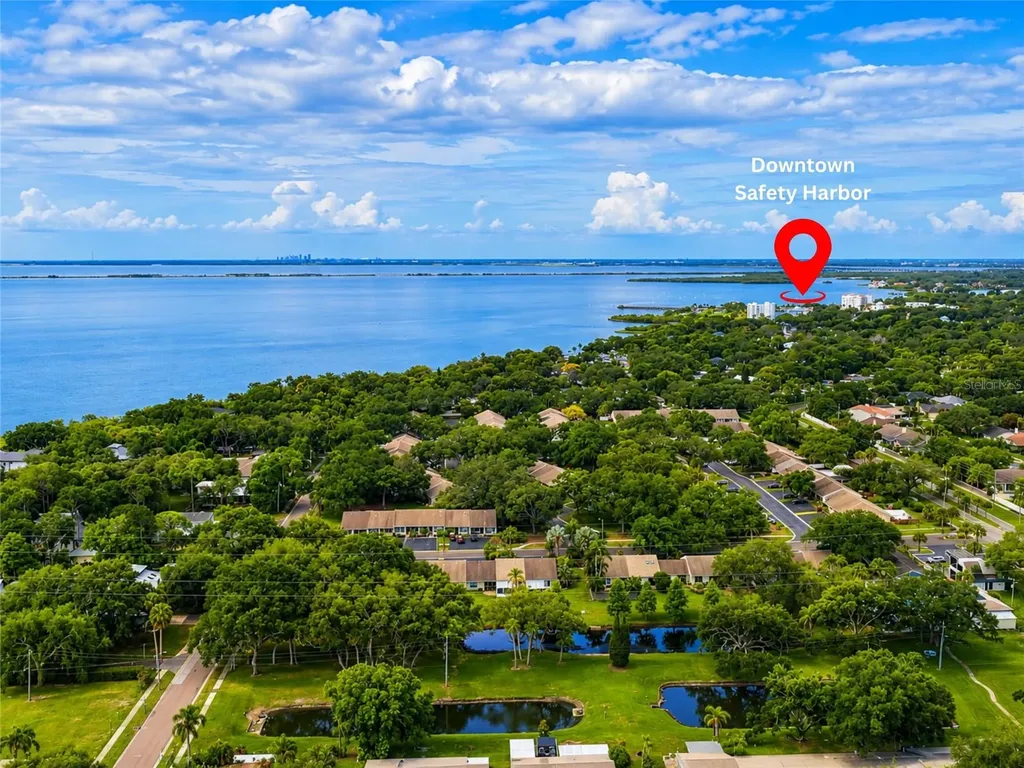337 Plymouth Street Safety Harbor FL 34695