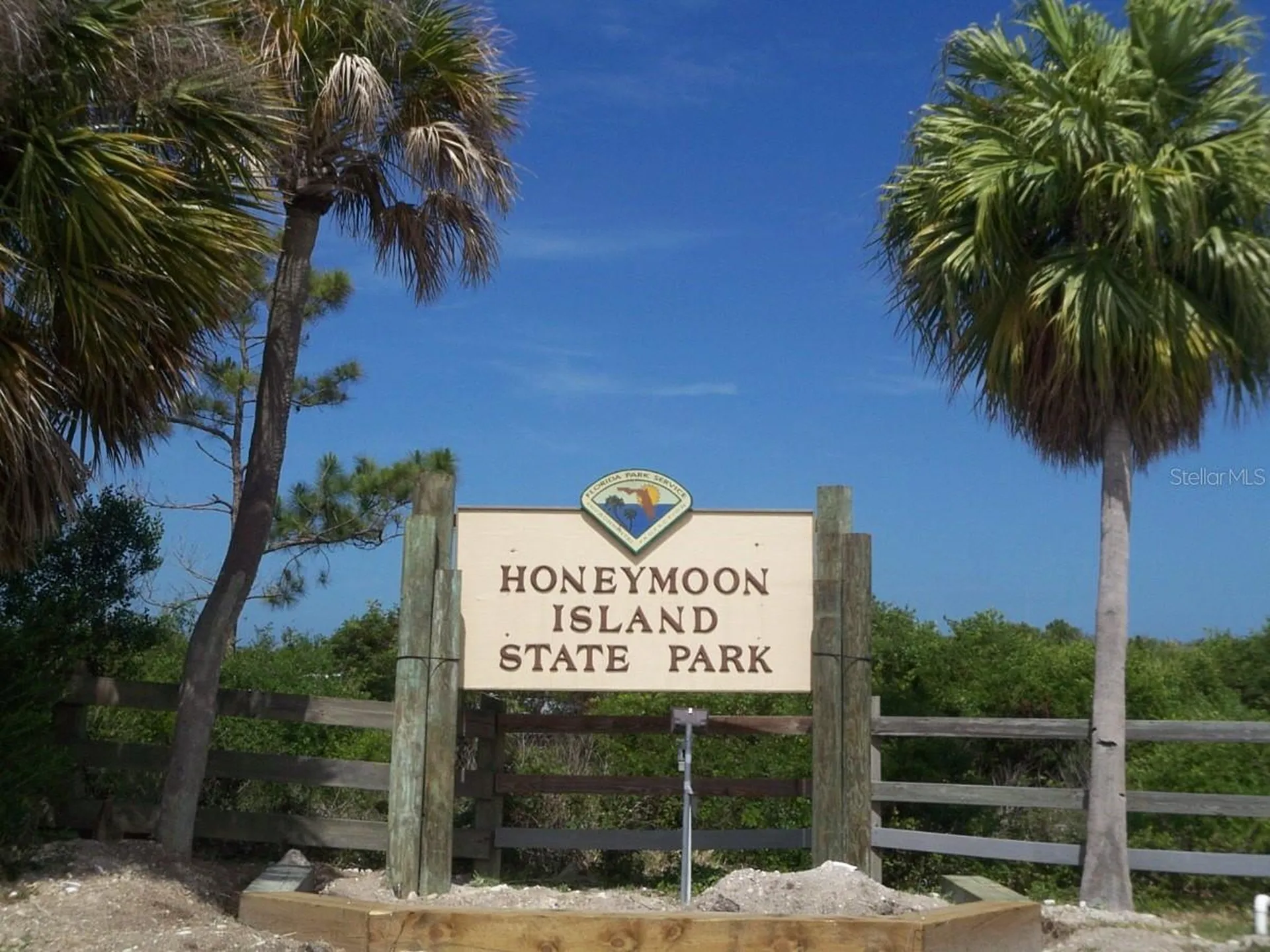 9 Forbes Place Dunedin FL 34698