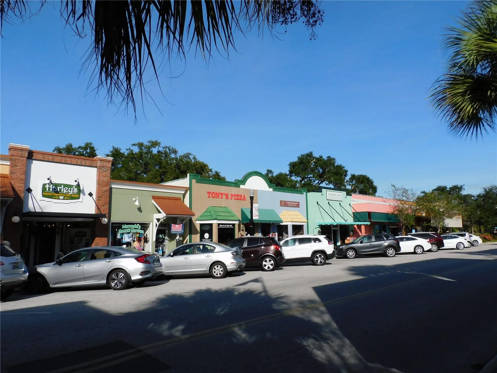 9 Forbes Place Dunedin FL 34698