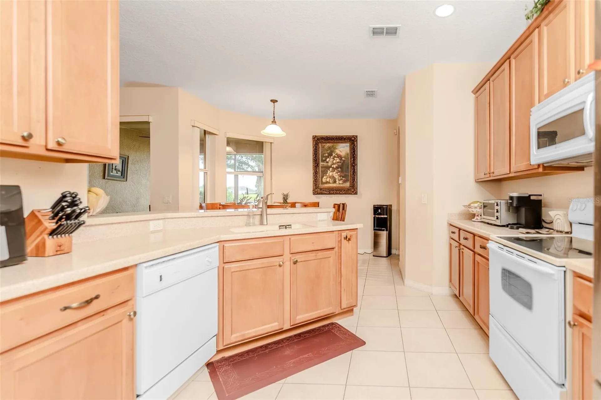 34013 Fortunado Street Sorrento FL 32776