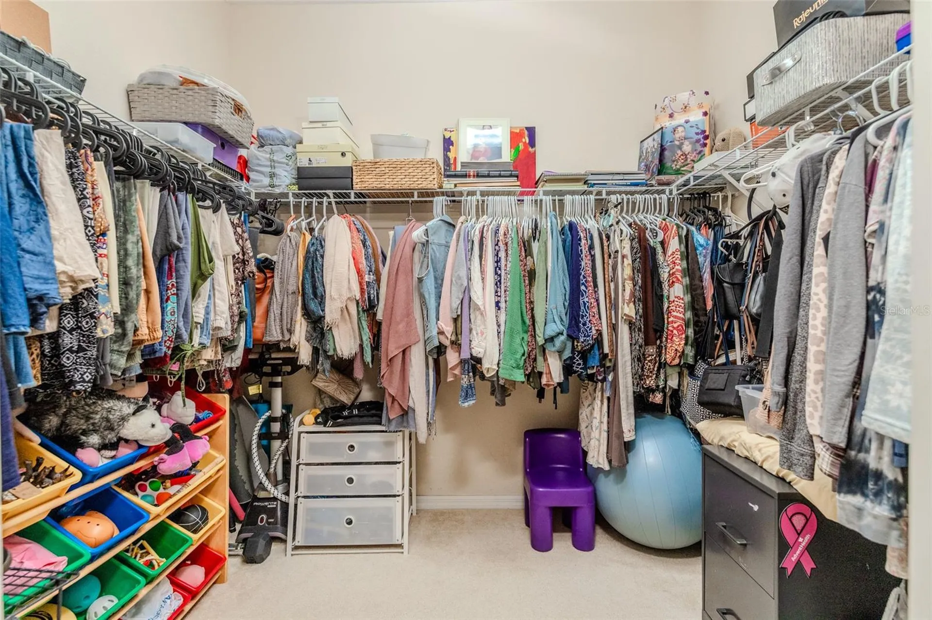 34013 Fortunado Street Sorrento FL 32776