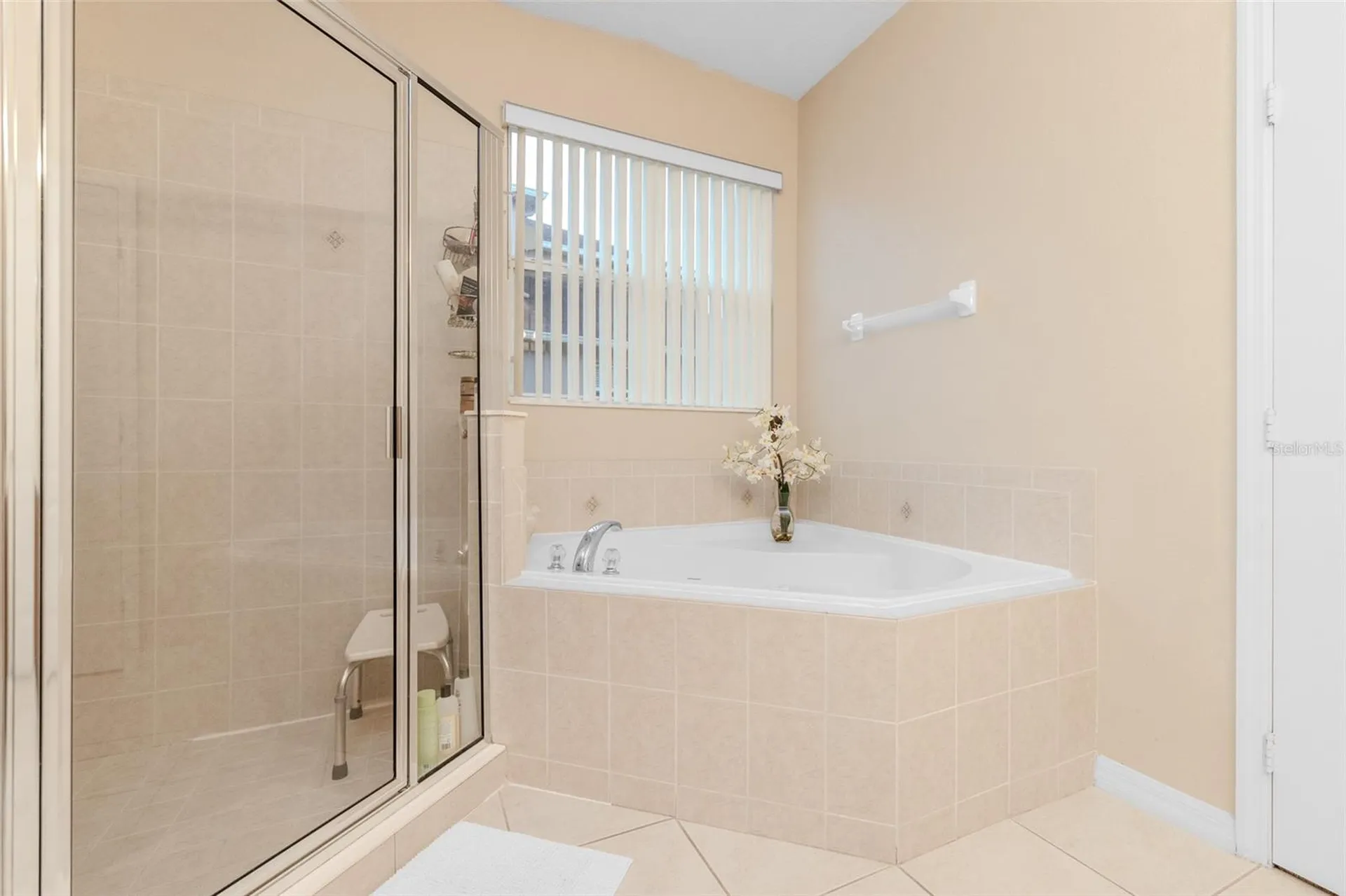 34013 Fortunado Street Sorrento FL 32776