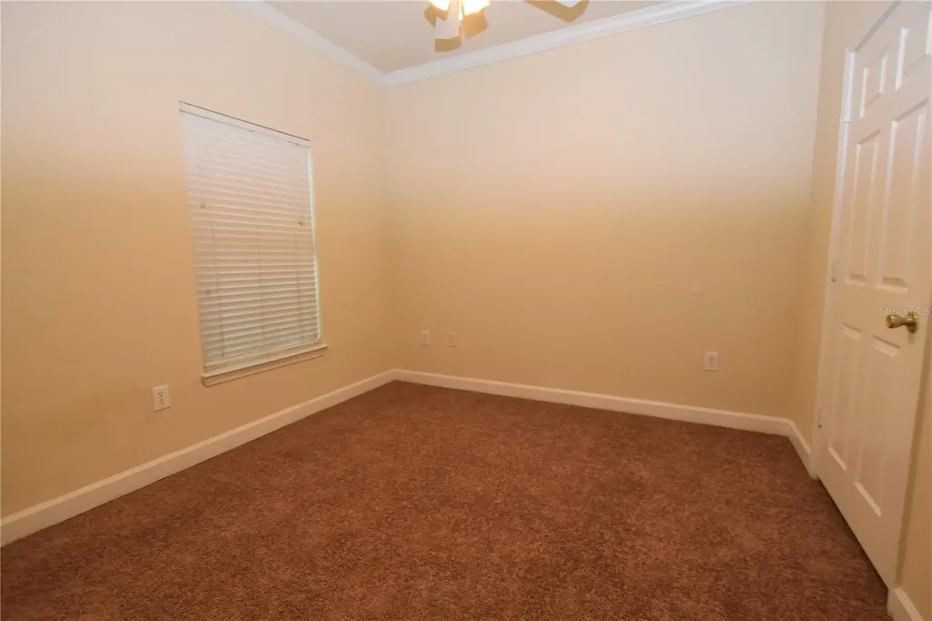 18501 Bridle Club Drive Tampa FL 33647