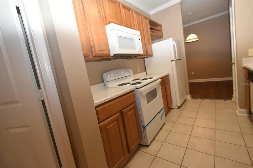 18501 Bridle Club Drive Tampa FL 33647