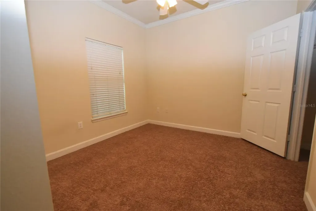 18501 Bridle Club Drive Tampa FL 33647