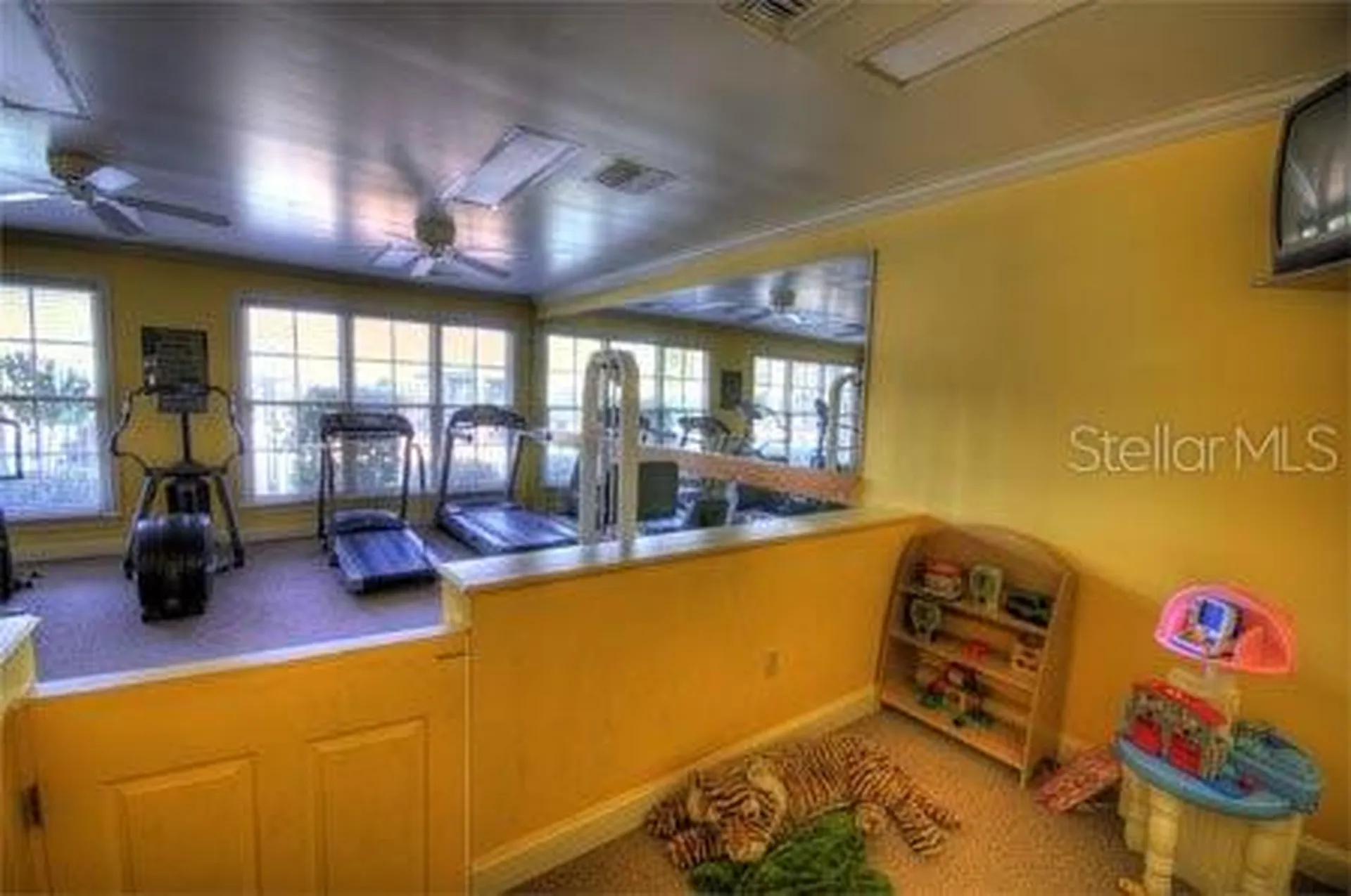 18501 Bridle Club Drive Tampa FL 33647