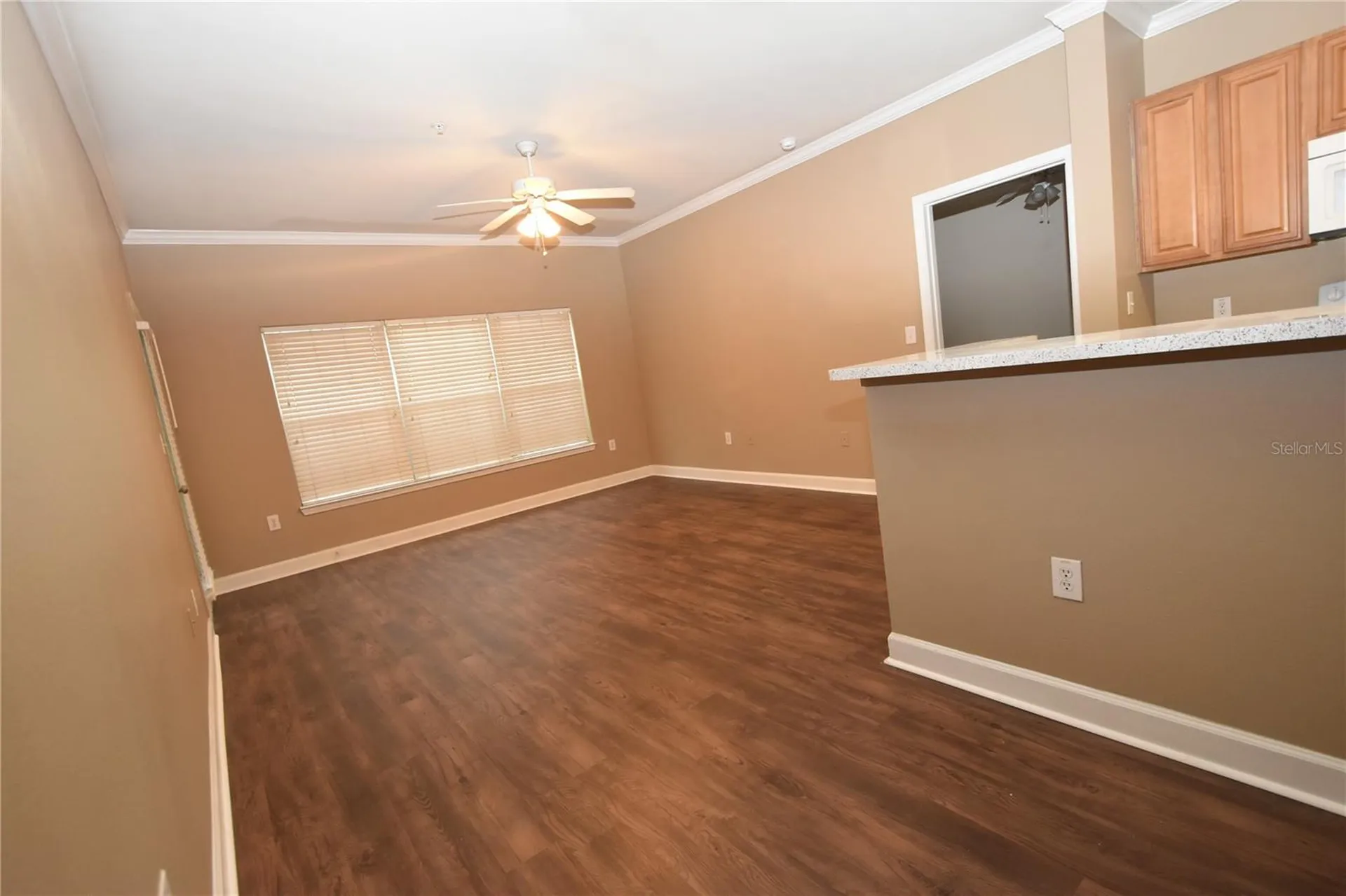 18501 Bridle Club Drive Tampa FL 33647