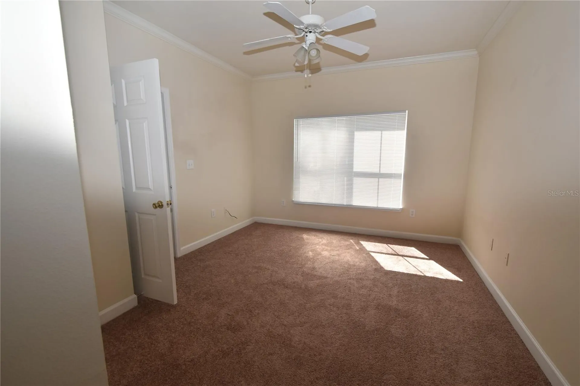 18501 Bridle Club Drive Tampa FL 33647