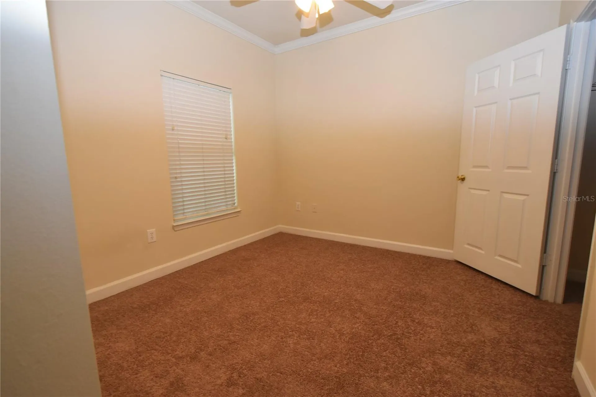 18501 Bridle Club Drive Tampa FL 33647