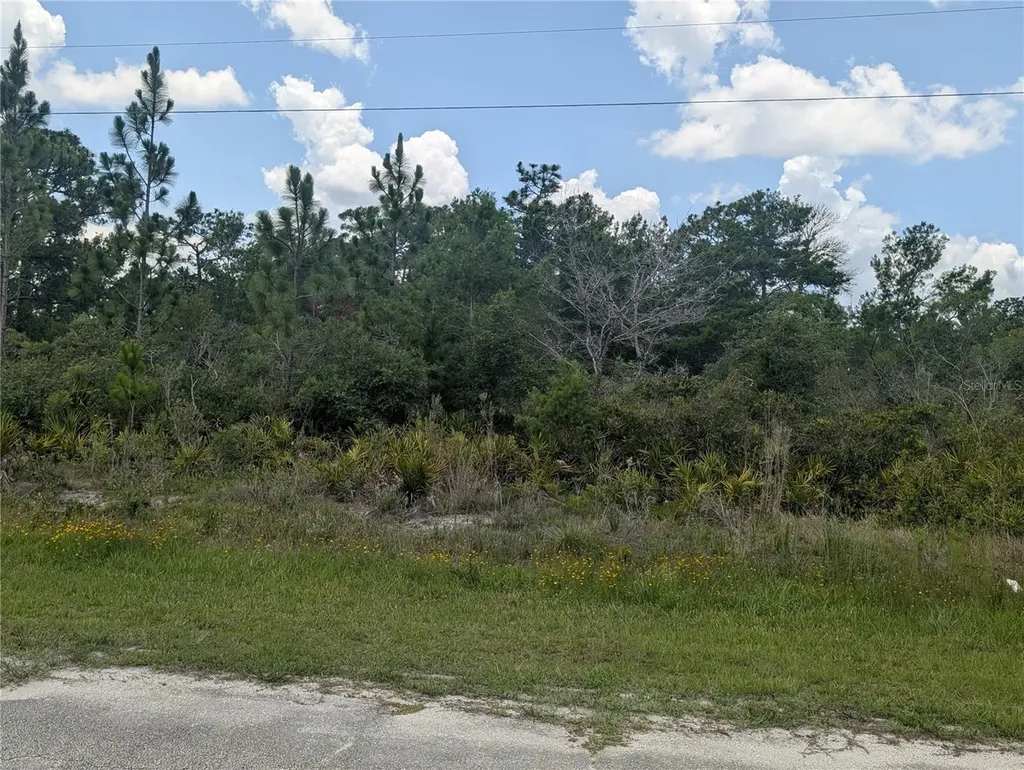 Coral Gables Drive Indian Lake Estates FL 33855