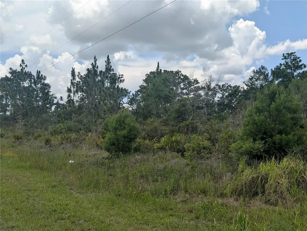 Coral Gables Drive Indian Lake Estates FL 33855