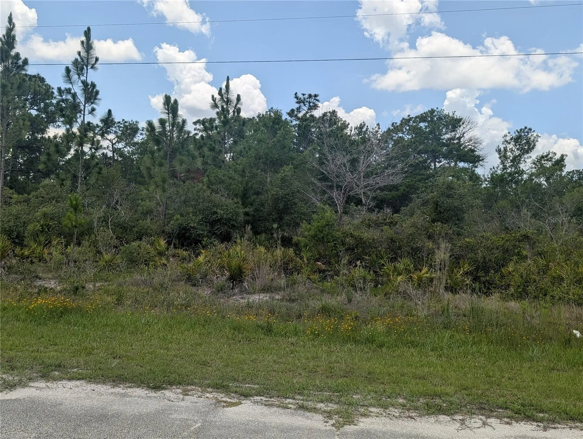 Coral Gables Drive Indian Lake Estates FL 33855
