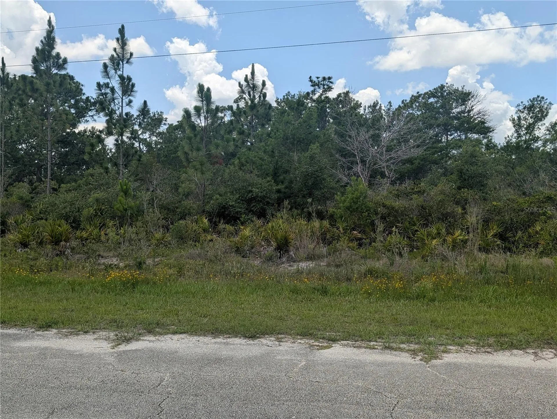Coral Gables Drive Indian Lake Estates FL 33855