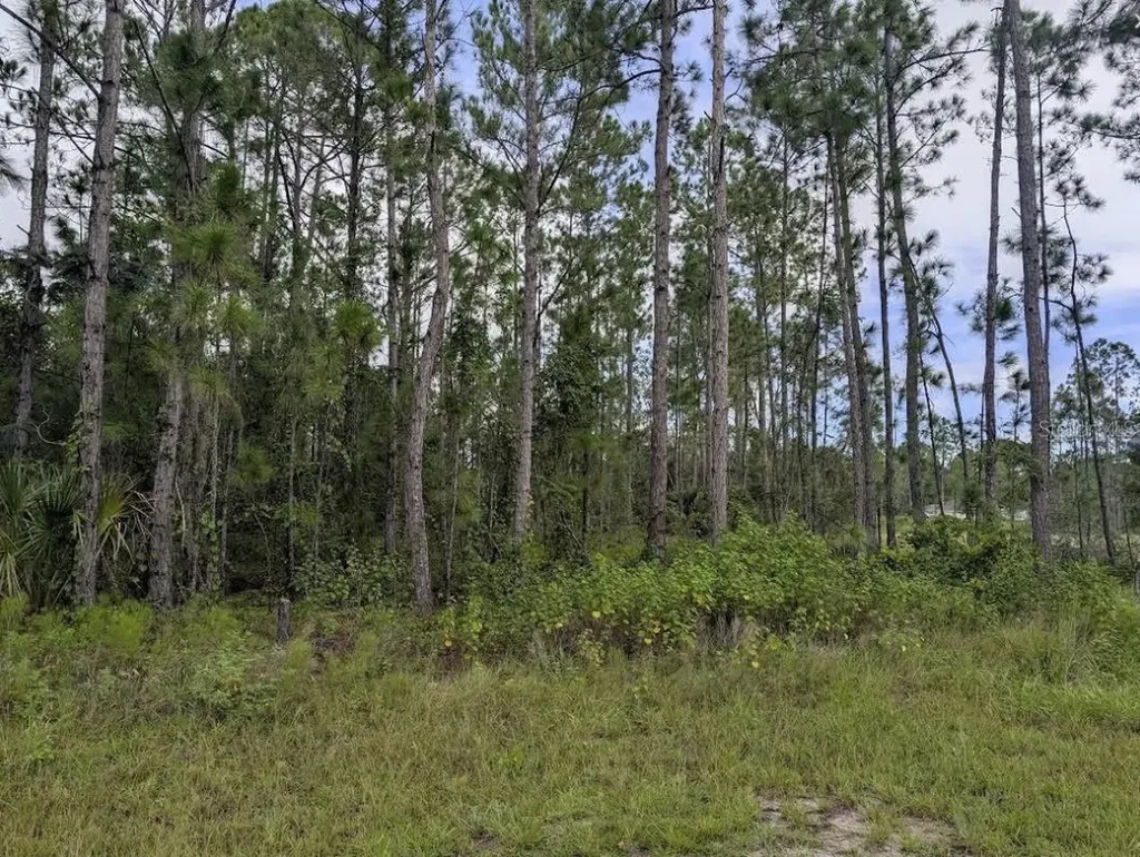 1122 Poinciana Drive Indian Lake Estates FL 33855