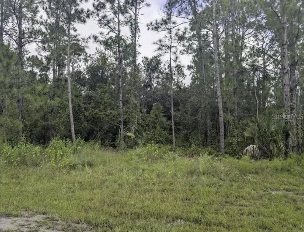 1122 Poinciana Drive Indian Lake Estates FL 33855
