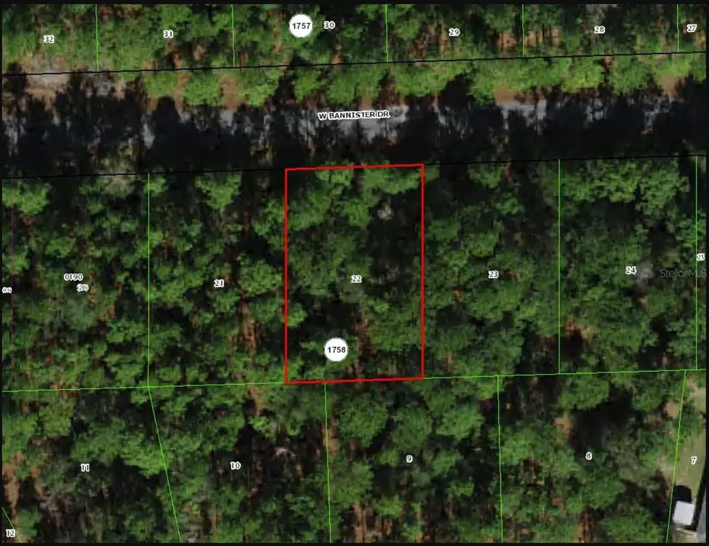 898 W Bannister Drive Citrus Springs FL 34434
